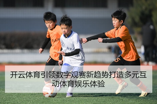 img_1777452693524_4_1_800.jpg